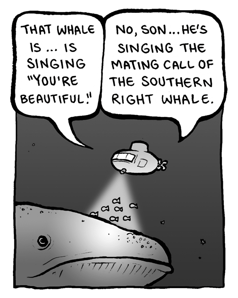 BRETT: That whale is... is singing "You're Beautiful".
MANCUSO: No, son... he's singing the mating call of the Southern Right Whale.