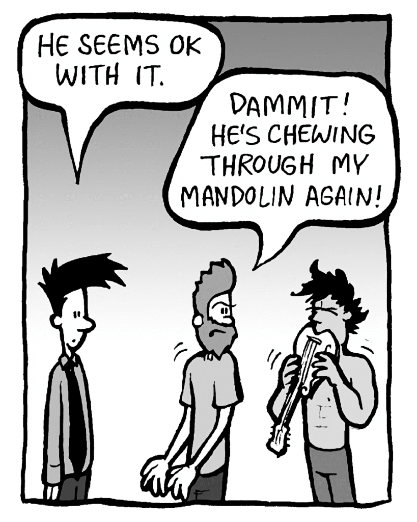 JOEL: He seems OK with it.
JAMES: Dammit! He's chewing through my mandolin again!